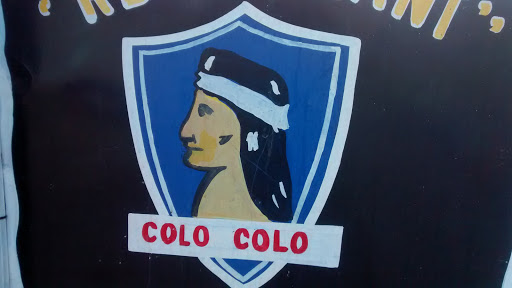 Colo Colo