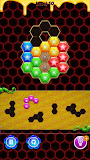 Bee Hive Puzzle