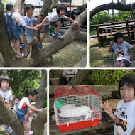 雅植歐洲香草園