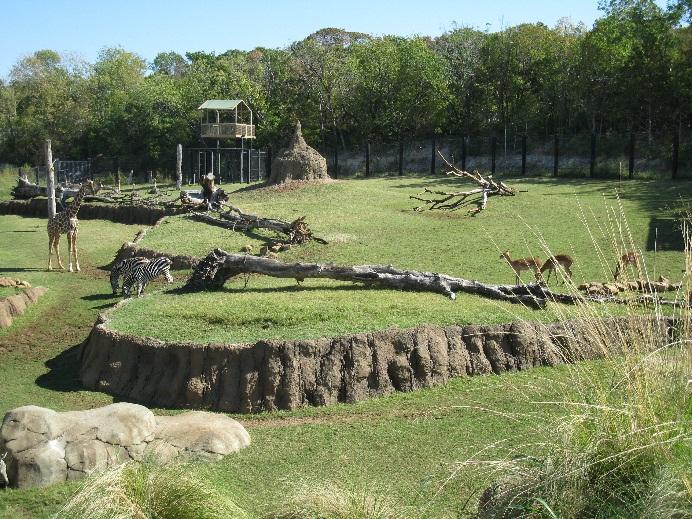 http://upload.wikimedia.org/wikipedia/commons/3/3d/Giants_of_the_Savanna_Inhabitants.jpg