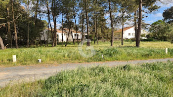 terrain à Jard-sur-Mer (85)