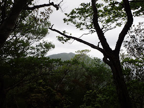 前方に雲母峰