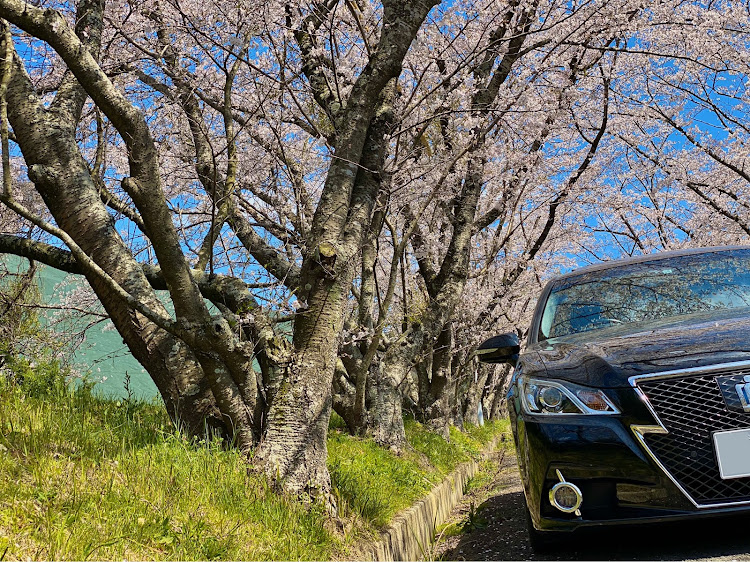 かずさんが投稿したクラウンアスリート210系・N－BOX・LEXUSＮＸ・ＮＸ・コロナ落ち着いてに関するカスタム事例の投稿画像1枚目