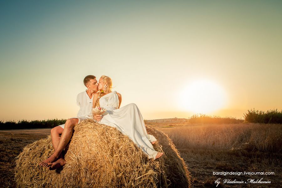 Wedding photographer Vladimir Makhonin (baralgindesign). Photo of 8 April 2014