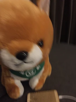 恋
