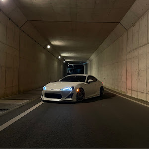 86 ZN6