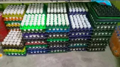 Egg wholesale distribution