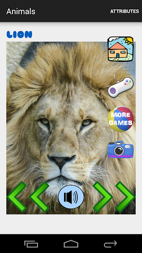 Animal Sounds - Game for kids