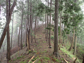 山頂が見えてきた