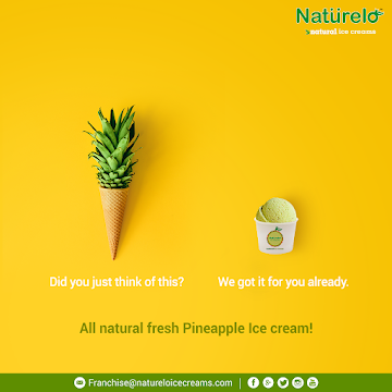 Naturelo Ice Creams menu 