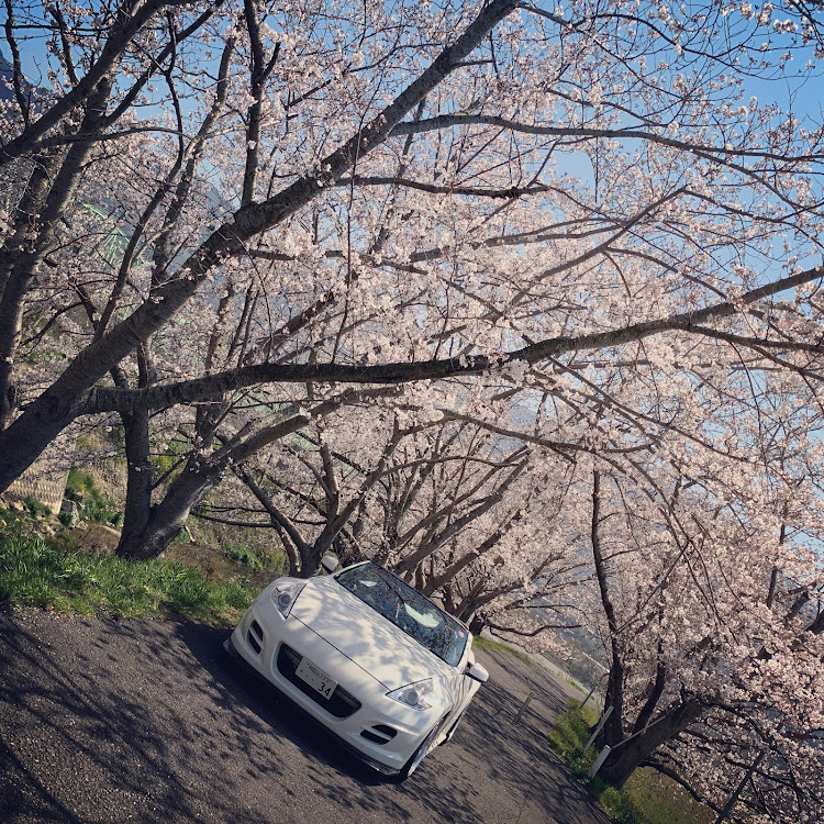 フェアレディZのGo-HZ34さんが投稿したカスタム事例の投稿画像1枚目
