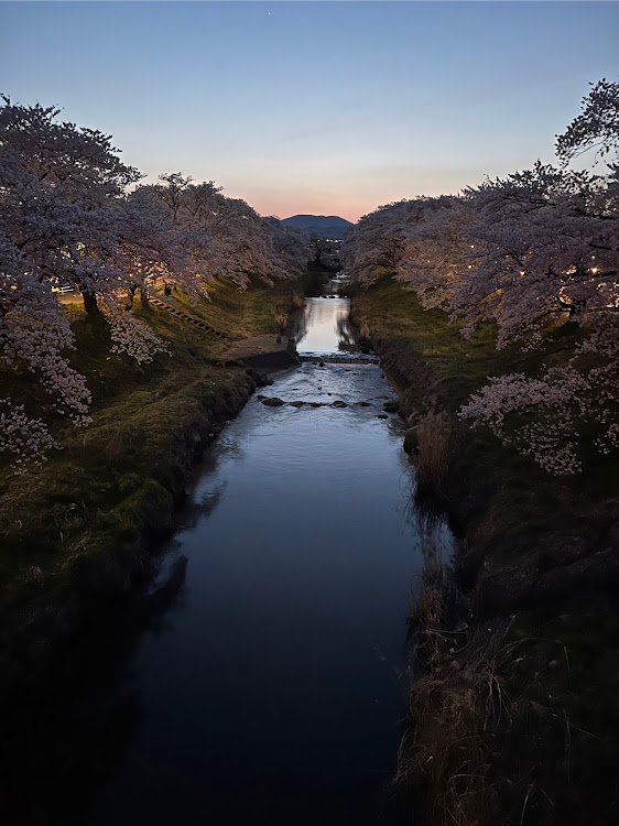 の投稿画像3枚目