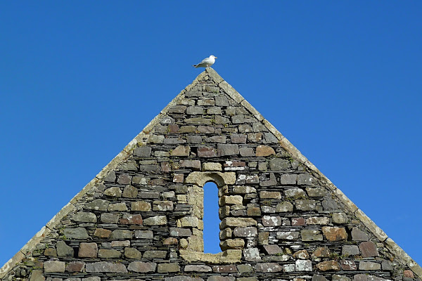 La finestra di Iona di Dariagufo