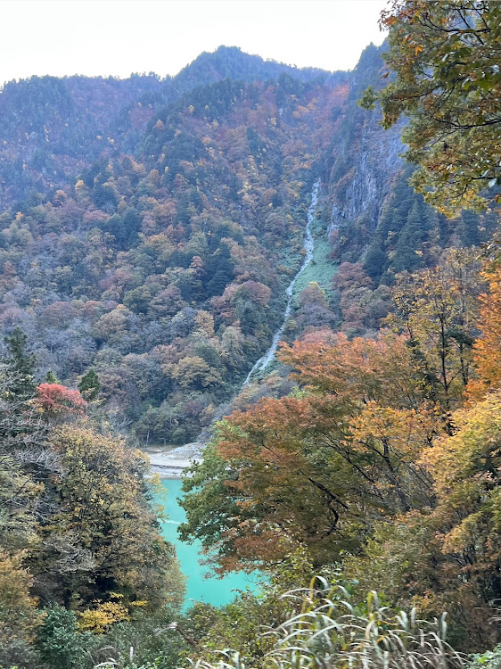 の投稿画像19枚目