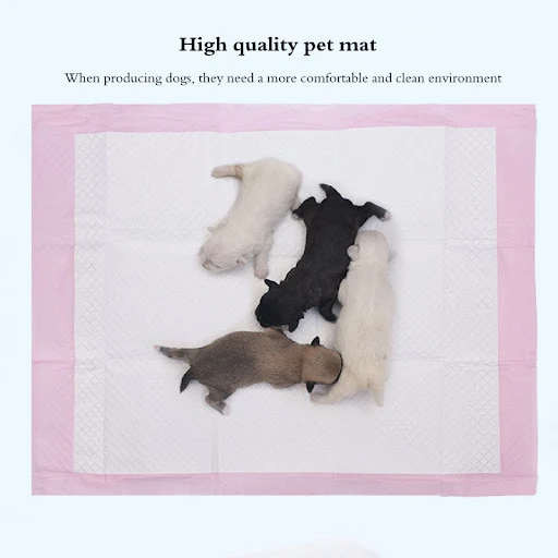 Disposable Training Pee Pads For Dog Super Absorbent Pet Puppy Throwaway Healthy Clean Nappy Mat OneTime Dairy Diaper Su