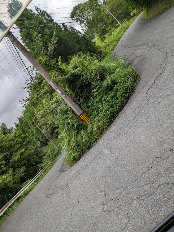 アルトワークスの山道・あいにくの天気・洗車したのに....・アブに襲われるに関するカスタム事例の投稿画像4枚目