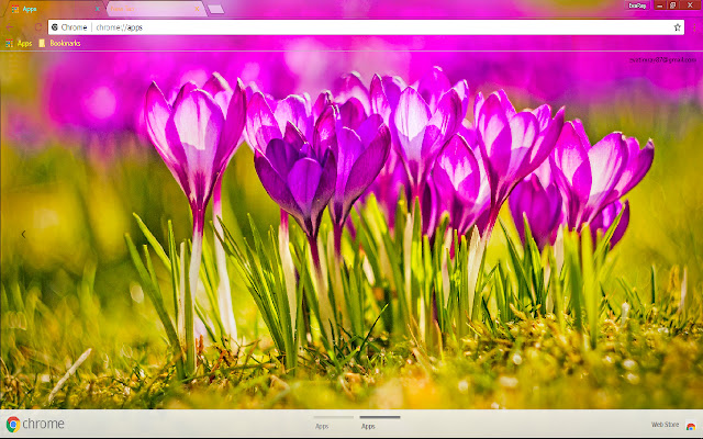 Flower Pink Flower Spring Sunny chrome extension