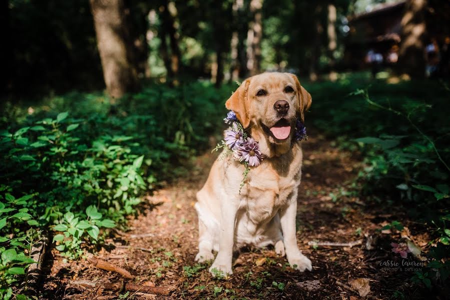 Fotógrafo de casamento Cassie Lauren (cassielauren). Foto de 30 de dezembro 2019