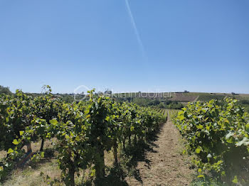 terrain à Gaillac (81)