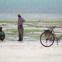 Bicicletta nella bassa marea... di 