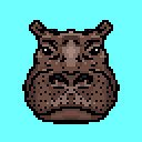 Hippo Cyan