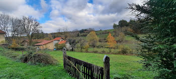 terrain à Frugières-le-Pin (43)