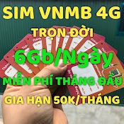 Sim Data 4G Vietnamobile Giá Rẻ 180Gb Tốc Độ Cao 1 Tháng Duy Trì Chỉ Từ 50K Sim Trọn Đời 6Gb 1 Ngày