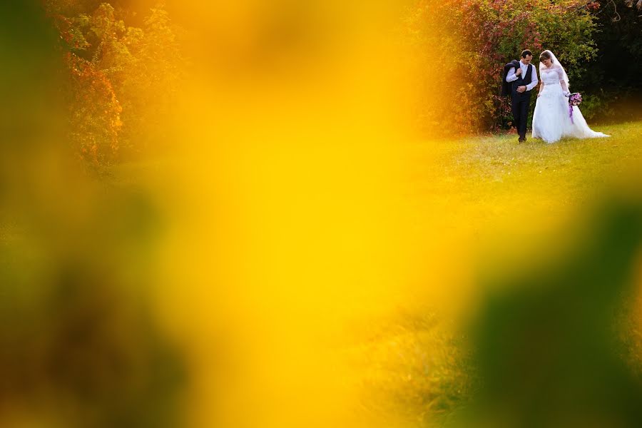 Fotograful de nuntă Balázs Andráskó (andrsk). Fotografia din 10 octombrie 2018