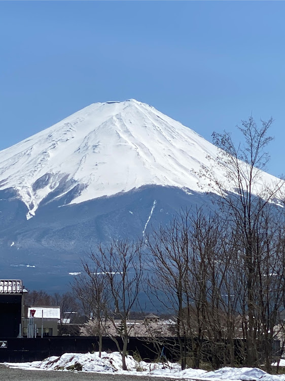 の投稿画像4枚目