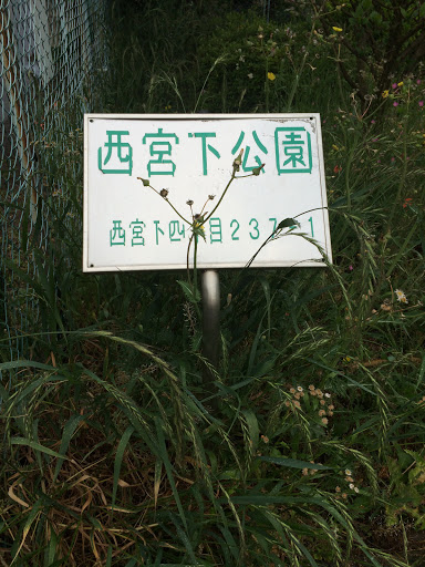 西宮下公園