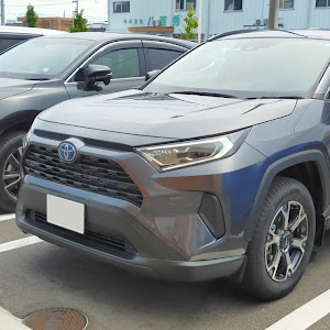 RAV4 AXAH52