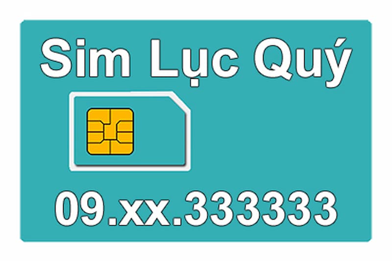 Sim lục quý 333333