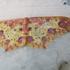 Geometrid Moth