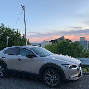 CX-30 DMEP