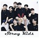 Download STRAY KIDS: Matching Game For PC Windows and Mac