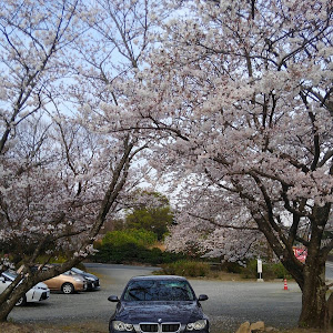 320i