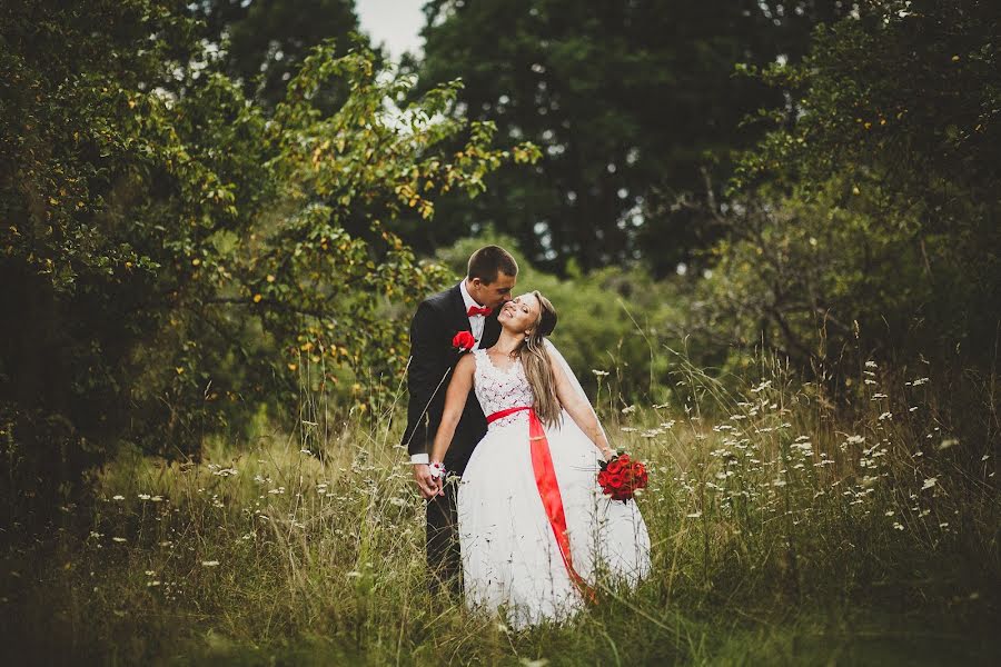 Fotógrafo de casamento Evgeniy Krivoshein (krikri). Foto de 3 de setembro 2014