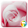 Rose ASUS ZenUI Theme icon