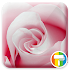 Rose ASUS ZenUI Theme1.0.0.150708