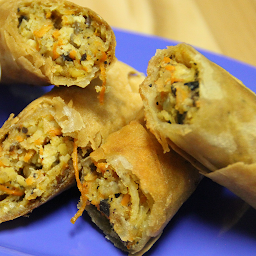 Vegetarian Crispy Spring Rolls