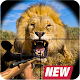 Animal Hunting : Lion Sniper Hunter Download on Windows