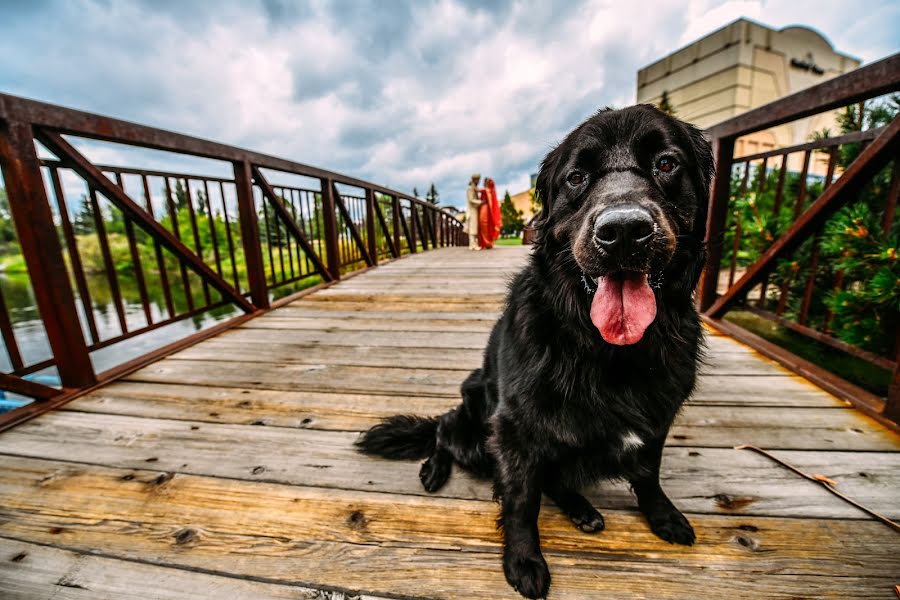 Fotografo di matrimoni Marcin Karpowicz (bdfkphotography). Foto del 9 agosto 2018