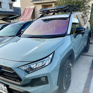 RAV4 MXAA54