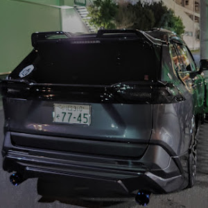 RAV4 AXAH54