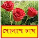 Download গোলাপ ফুল চাষ পদ্ধতি ~ Rose Flower Cultivation For PC Windows and Mac 1.0