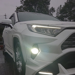 RAV4 MXAA54