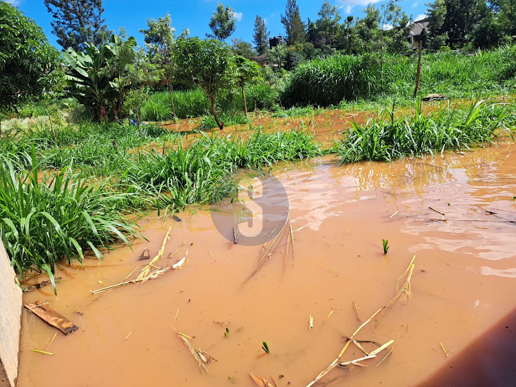Kugeria estate off Kiambu road after sewer overflew to their homes.
