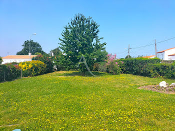 terrain à Beauvoir-sur-Mer (85)