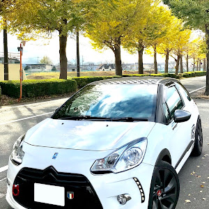 DS3