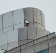 An unidentified woman stood on the edge of the 19-storey high iconic Hilton Hotel in Durban on Friday morning after what is understood to have been an emotional meltdown.